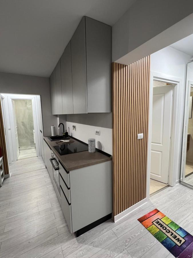 Oxana Apartments - 3 Camere - Temesvár Kültér fotó