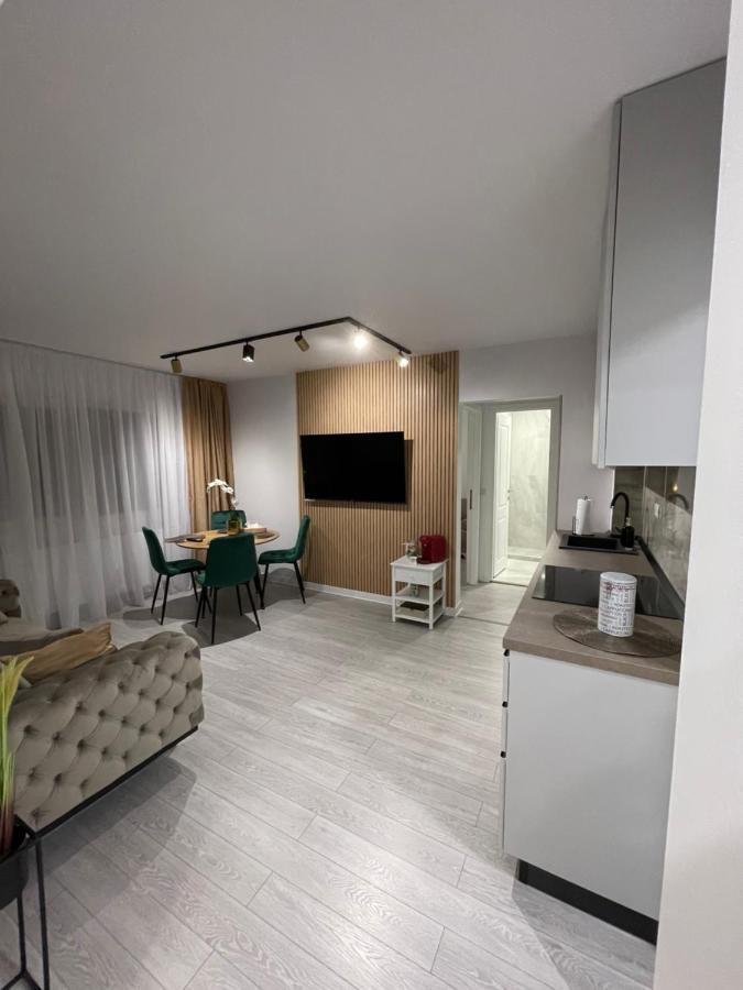 Oxana Apartments - 3 Camere - Temesvár Kültér fotó