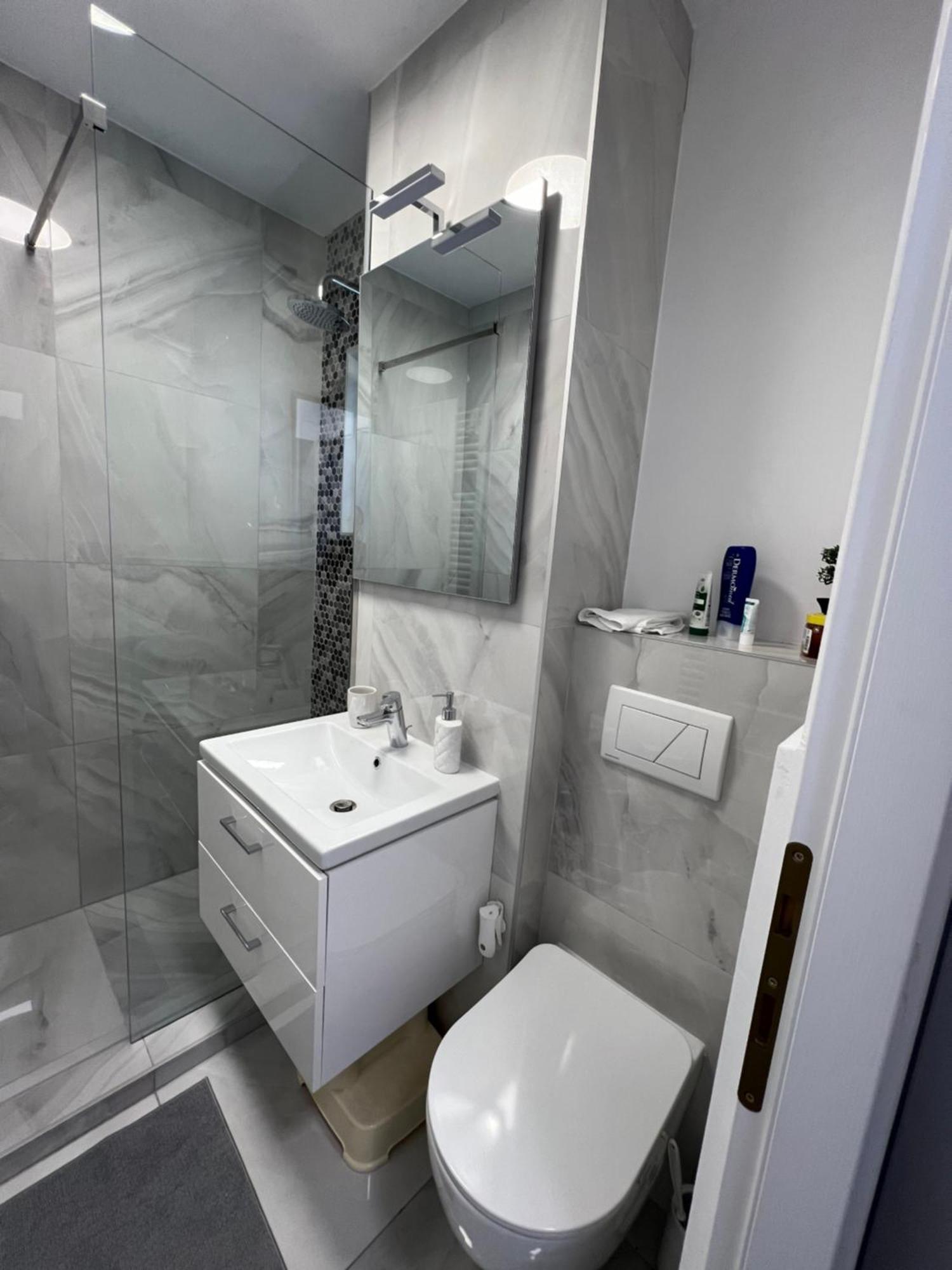 Oxana Apartments - 3 Camere - Temesvár Kültér fotó